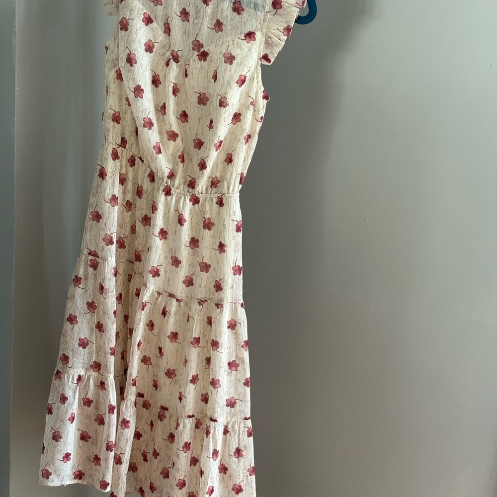 Monteau White and Red Floral Maxi Dress